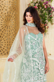 Party Wear Rama Color Butterfly Net Kurti For Girls