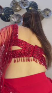 Wedding Wear Red Color Butterfiy Net Saree For Women